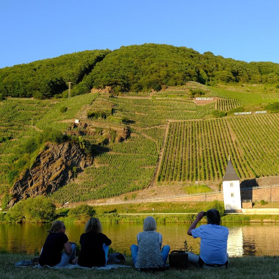 Gaestehaus & Weingut Cluesserath-Weiler Trittenheim Exterior photo